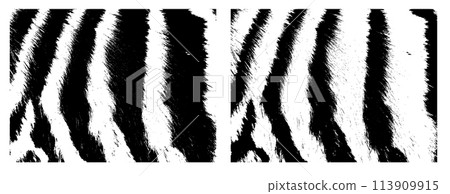 monochrome zebra or tiger fur background. Not AI, Vector illustration monochrome zebra or tiger fur background. Not AI, Vector illustration 113909915