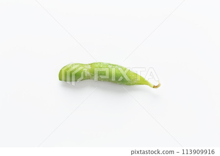 Frozen edamame on white background Frozen edamame on white background 113909916