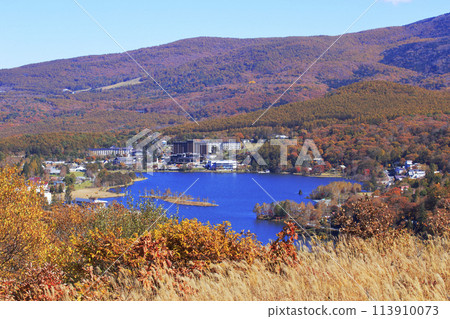 白樺湖的秋天 113910073