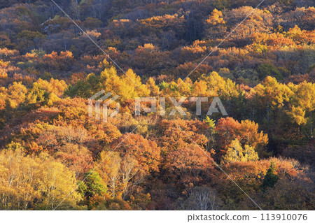 白樺湖的秋天 白樺湖的秋天 113910076