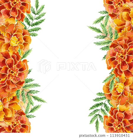 Marigolds vertical frame. Hand drawn watercolor illustration on white background. Birthday cards, Mexican Day of the Dead, invitations, labels, covers 113910431