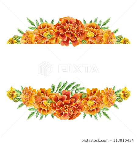 Marigolds, template for inserting text. Hand drawn watercolor illustration on white background. Headers, birthday cards, invitations, banners, labels. Marigolds, template for inserting text. Hand drawn watercolor illustration on white background. Headers, birthday cards, invitations, banners, labels. 113910434