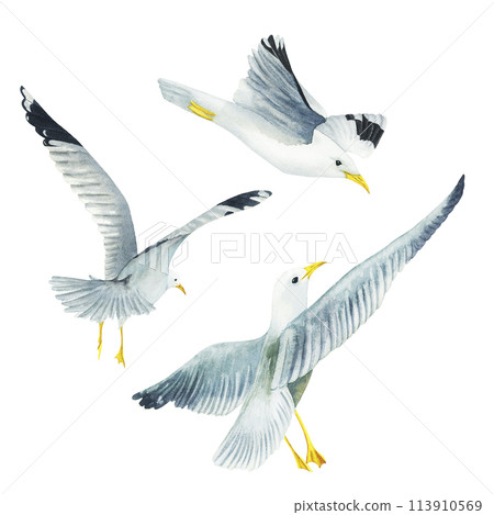 Set of flying in the sky seagulls in watercolor isolated on white background. Hand drawn illustration on the theme of sea fishing. Children's, marine, tourist. For design, prints, patterns, postcards 113910569