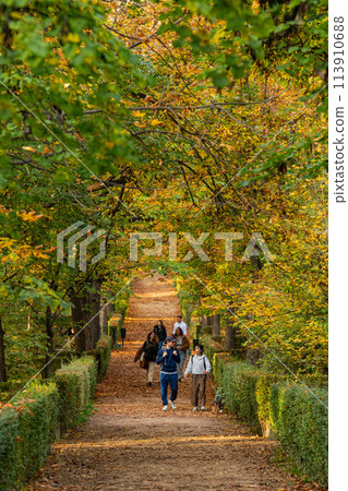 Madrid, Spain, Nov 18, 2023, People walking in Buen Retiro famous park located in the downtown Madrid, Spain, Nov 18, 2023, People walking in Buen Retiro famous park located in the downtown 113910688