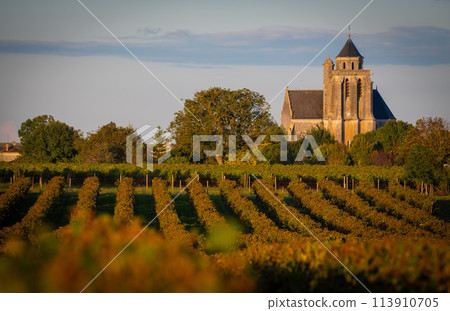 France, Charente-Martime, Lonzac Church,in Cognac Vineyards, Petite Champagne 113910705