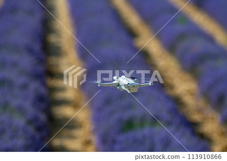 Drone flying over lavender field, Valensole, Provence Drone flying over lavender field, Valensole, Provence 113910866