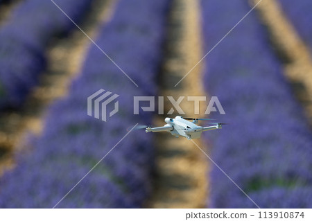 Drone flying over lavender field, Valensole, Provence Drone flying over lavender field, Valensole, Provence 113910874