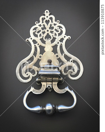 Door and knocker of a stylish French mansion Door and knocker of a stylish French mansion 113910875
