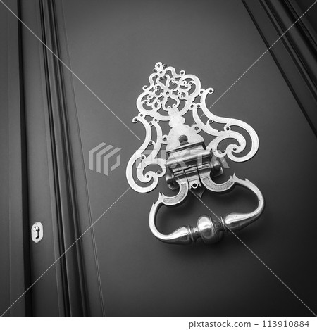 Door and knocker of a stylish French mansion Door and knocker of a stylish French mansion 113910884