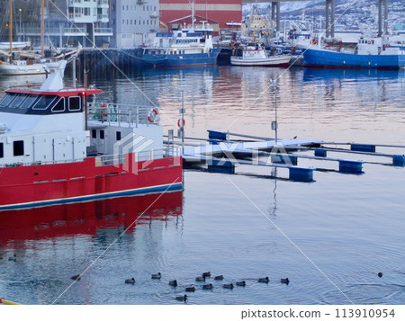 Bright red boats in the Tromso harbor 113910954