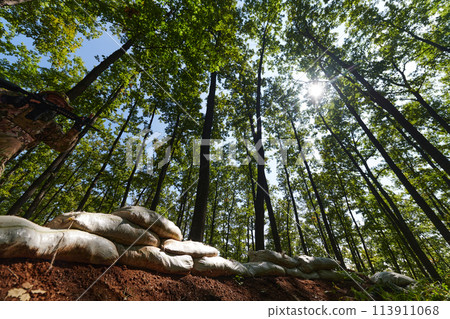 An elite soldier adeptly clears military barriers in the perilous wooded terrain, showcasing tactical skill and agility during specialized training An elite soldier adeptly clears military barriers in the perilous wooded terrain, showcasing tactical skill and agility during specialized training 113911068