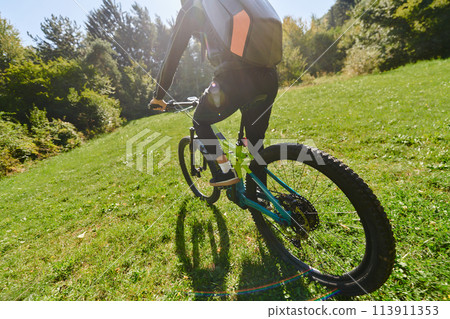 In the radiant glow of a sunny day, a fitness enthusiast, donned in professional gear, pedals through the park on his bicycle, embodying strength and vitality in a dynamic outdoor workout 113911353