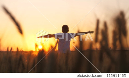 Overjoyed male teenager speed running on wheat field picturesque sunset sunrise bright sun light sky back view. Teen boy movement with raised hands enjoy freedom happy childhood at countryside meadow Overjoyed male teenager speed running on wheat field picturesque sunset sunrise bright sun light sky back view. Teen boy movement with raised hands enjoy freedom happy childhood at countryside meadow 113911465