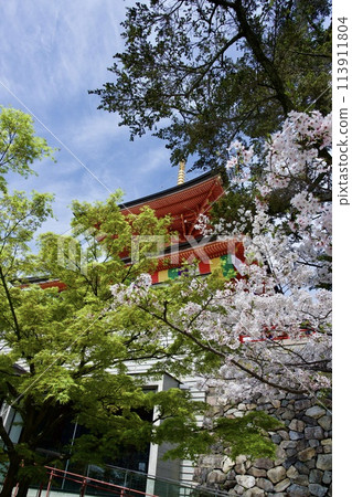 寶塚市中山寺的大觀塔和櫻花 寶塚市中山寺的大觀塔和櫻花 113911804