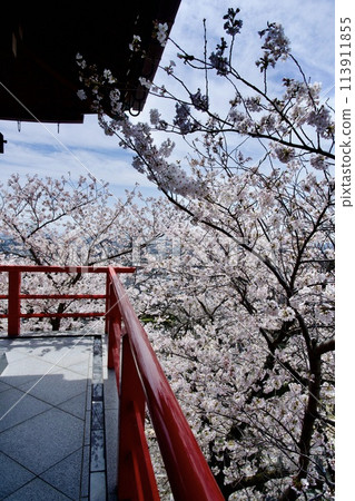 寶塚市中山寺的櫻花 113911855