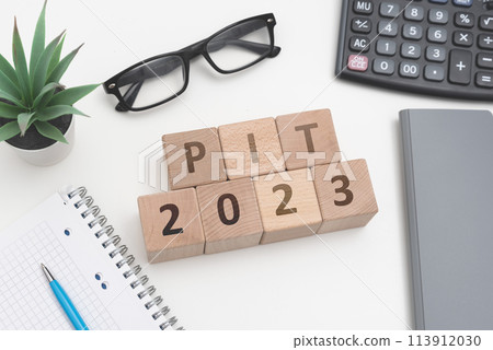 A wooden block with the word PIT 2023 113912030