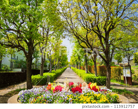 郊區住宅區泉社區路 113912757