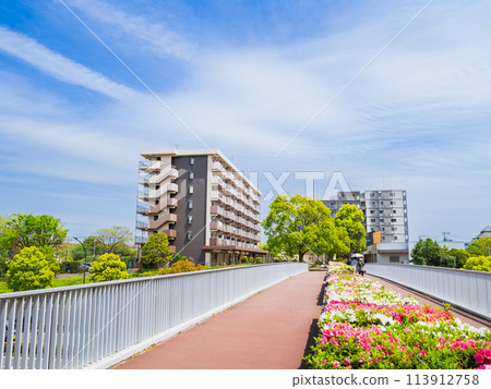 住房/居住/郊區住宅區形象 113912758