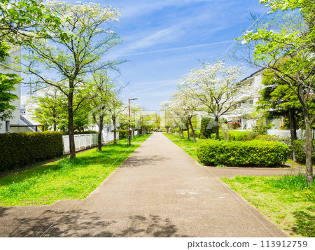 郊區住宅區，清新綠色生活路 113912759