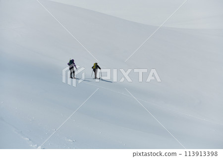 Alpine Ascent: Two Professional Skiers Conquer Snowy Peaks as a Determined Team. 113913398
