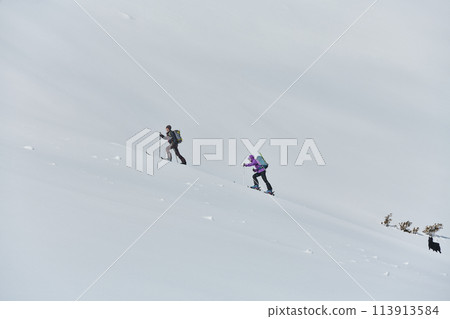 Alpine Ascent: Two Professional Skiers Conquer Snowy Peaks as a Determined Team. Alpine Ascent: Two Professional Skiers Conquer Snowy Peaks as a Determined Team. 113913584