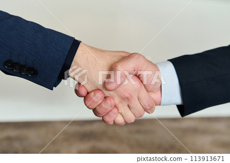 Businessmen making handshake with partner, greeting, dealing, merger and acquisition, business joint venture concept, for business, finance and investment background, teamwork and successful business 113913671