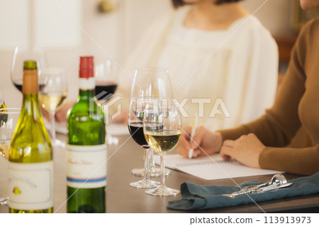 Women toasting with wine Women toasting with wine 113913973
