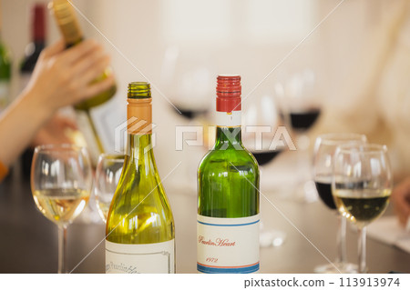 一個女人用酒敬酒 113913974