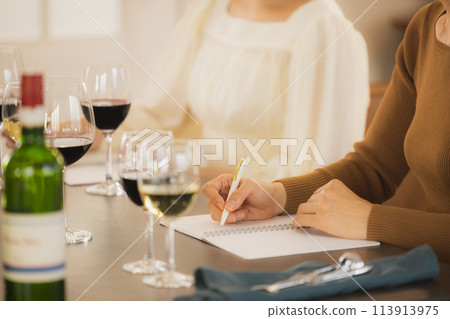 一個女人用酒敬酒 一個女人用酒敬酒 113913975
