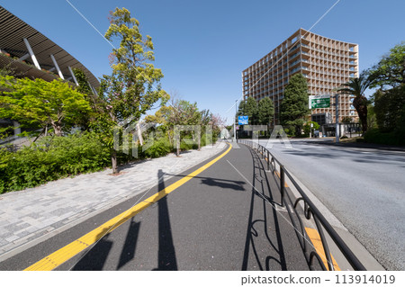 Road and cherry blossom trees next to the National Stadium 113914019