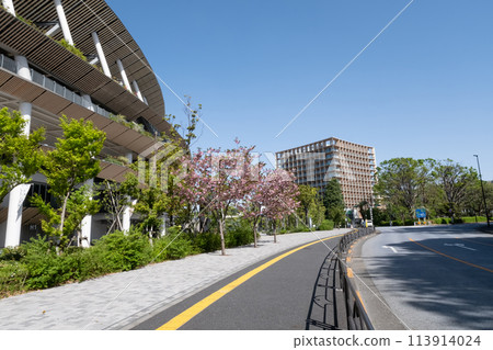 櫻花風景和國家體育場 113914024