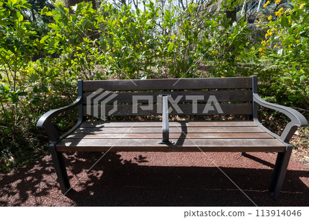 Fresh greenery and bench scenery Fresh greenery and bench scenery 113914046