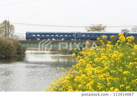 Spring on the Utsunomiya Line at the Old Tone River Bridge Spring on the Utsunomiya Line at the Old Tone River Bridge 113914067