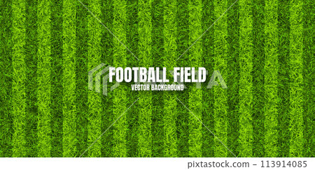 Soccer playing field with green grass. Football pitch background with stripes. Sports ground, stadium with fake or natural grass. Vector illustration 113914085