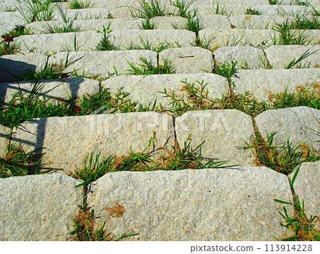 Image of a stone staircase 113914228
