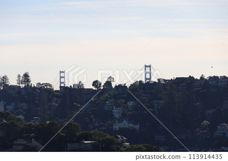 Nature and city from St Hilary's preserve in Belvedere and Tiburon California 113914435