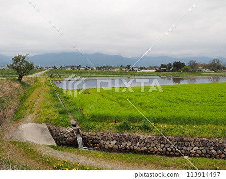 安曇野 安曇野 113914497