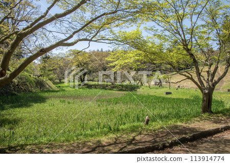 神奈川縣橫濱市旭區兒童自然公園 神奈川縣橫濱市旭區兒童自然公園 113914774