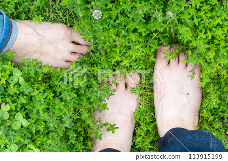 The feet of people earthing barefoot in the grassland 113915199
