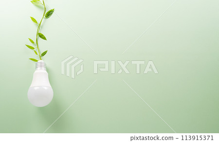 Green eco friendly concept made from light bulb and fresh leaves. Energy saving, ecology, earth day and environment sustainable resources conservation concept. Green eco friendly concept made from light bulb and fresh leaves. Energy saving, ecology, earth day and environment sustainable resources conservation concept. 113915371