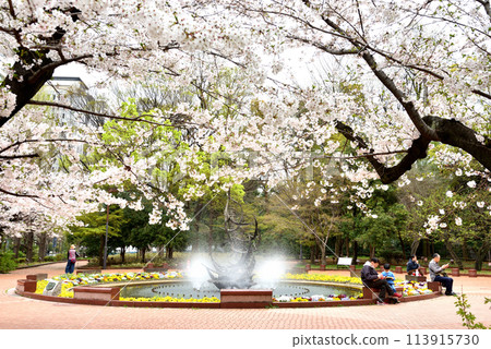 日比谷公園西小門池和盛開的櫻花 113915730