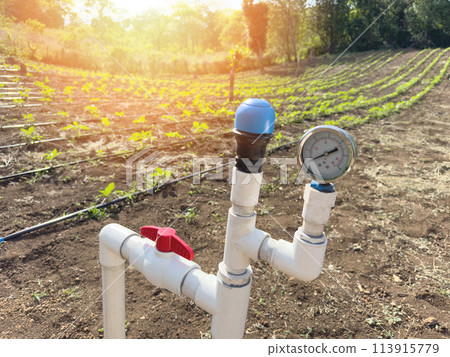 Irrigation water pipes system Irrigation water pipes system 113915779