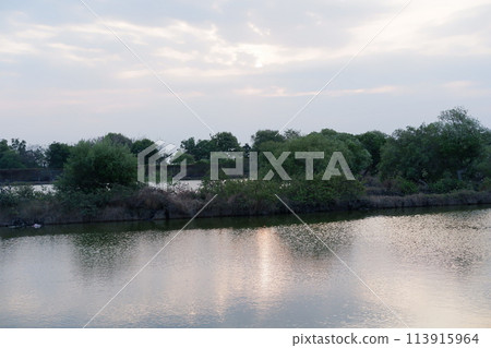 river in the summer 113915964