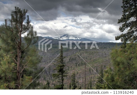 Deschutes Wilderness, Deschutes Wilderness, 113916240