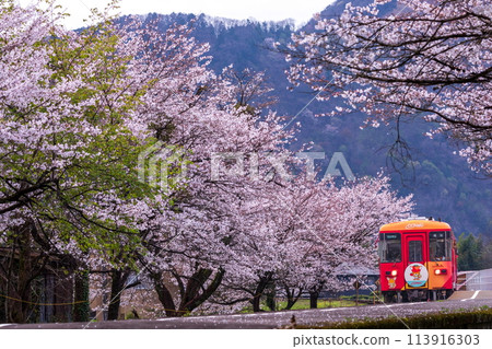 穿過櫻花隧道的垂水鐵路（Heimo 295-315） 113916303