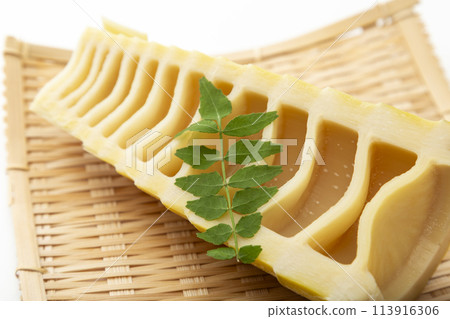 Bamboo shoots on a sieve on a white background Bamboo shoots on a sieve on a white background 113916306