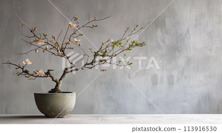 侘寂背景：灰牆前的樹枝 113916530