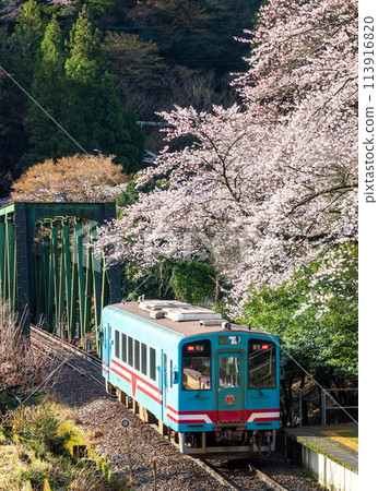 穿越櫻花與鐵橋的電車（垂水鐵道人站）Heimo 330-703 113916820