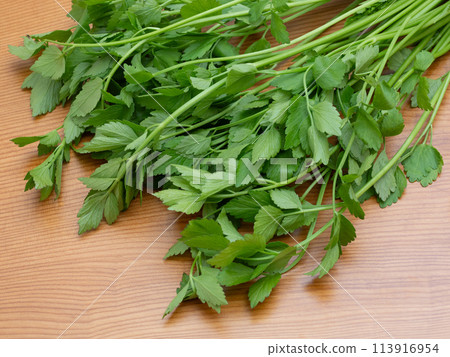 生芹菜 113916954