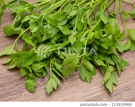 Fresh parsley Fresh parsley 113916960